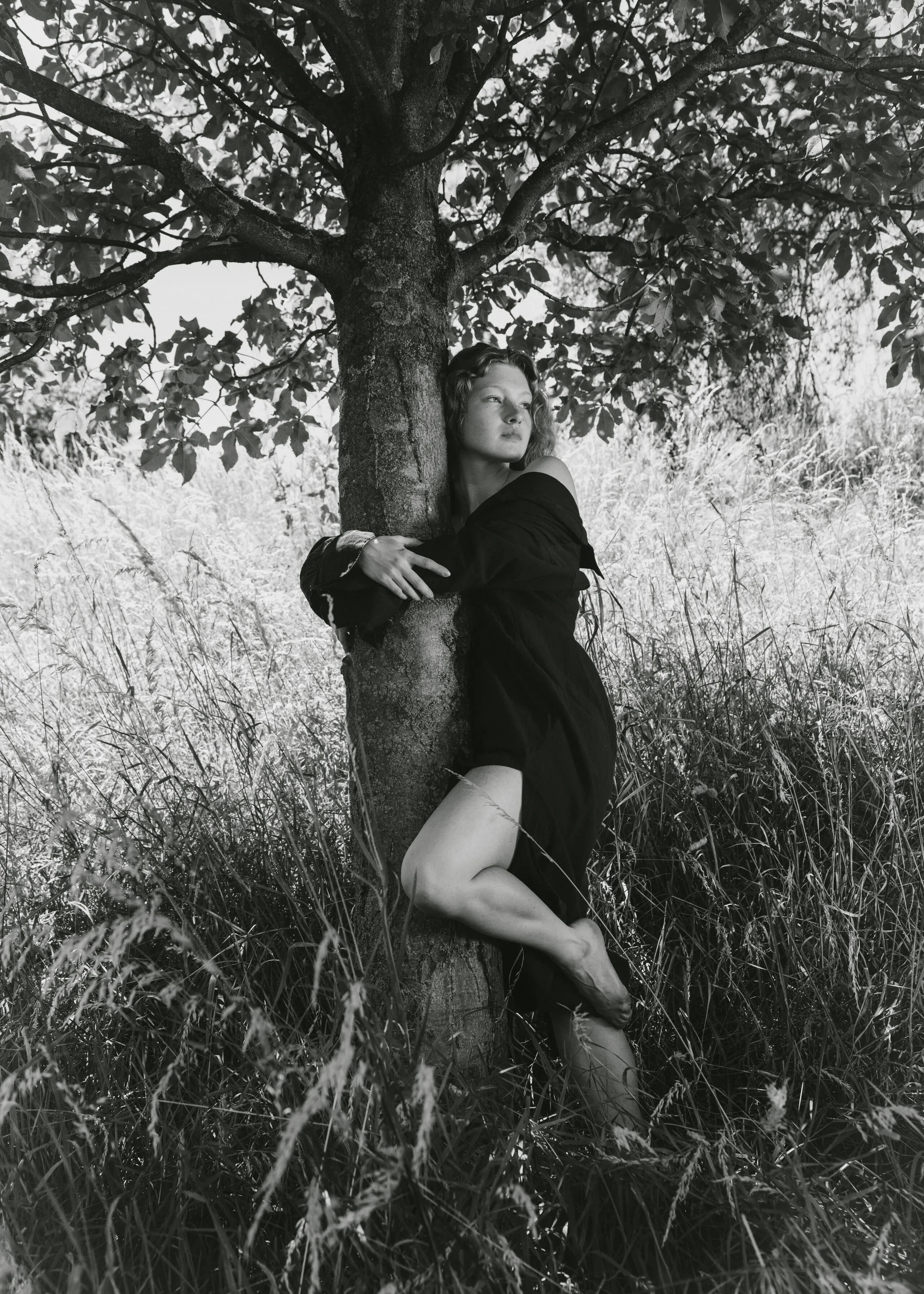 LUCA GERZSON